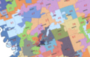 Precincts within Districts Report